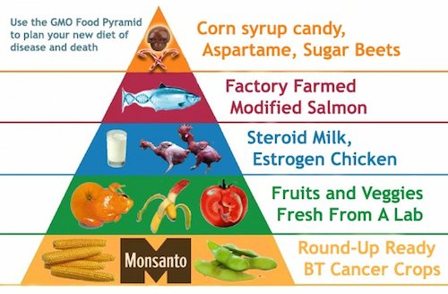 sick-diet-pyramid worldsurf